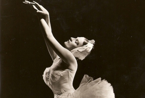 mia Čorak slavenska